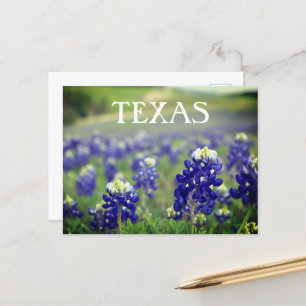 Carte Postale Bluebonnets Fleurs Bleues Texas Texan Floral