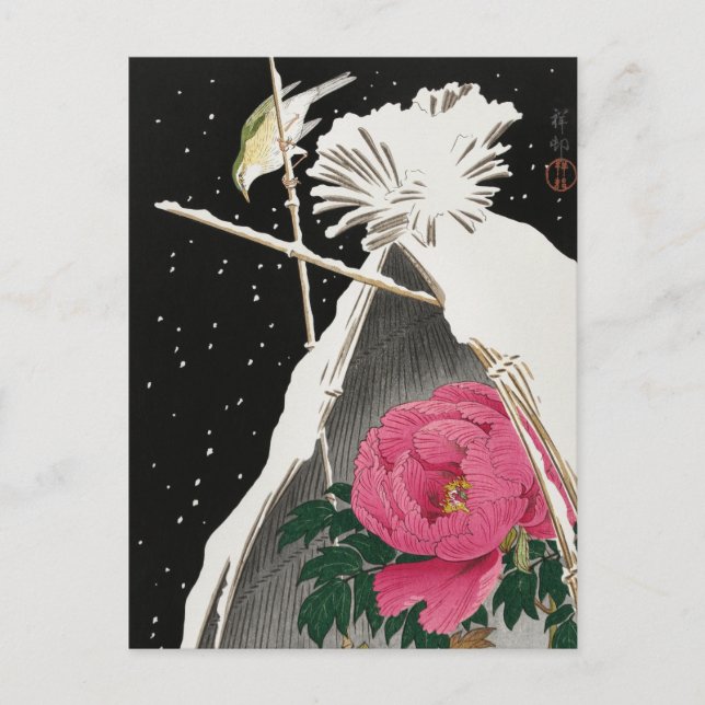 Carte Postale Bluechat de Sibérie à côté d'une pivoine par Ohara (Devant)