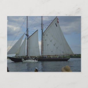 Carte postale Bluenose Schooner Tall Ship Racing