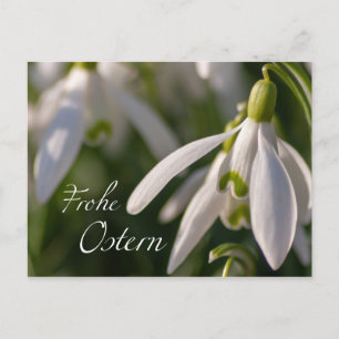 Carte Postale Blumige Ostergrüße aus dem Briefkasten