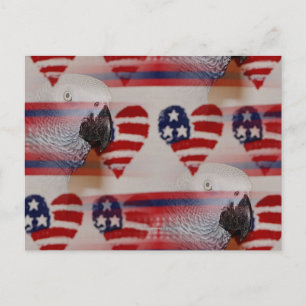 Carte Postale Blurry artistique 4 juillet African Grey