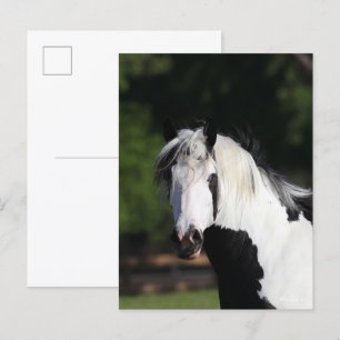 Carte Postale Bob Langrish Capture d'écran du cheval de banniè