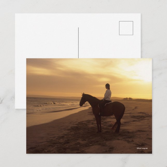 Carte Postale Bob Langrish | Cheval et Rider sur la plage au cou (Devant / Derrière)