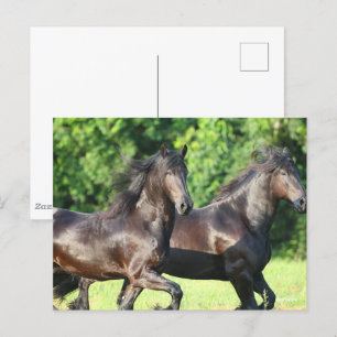 Carte Postale Bob Langrish   Deux Frères Coureurs Ensemble