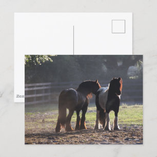 Carte Postale Bob Langrish   Deux Vannières Tsiganes En Champ Ré