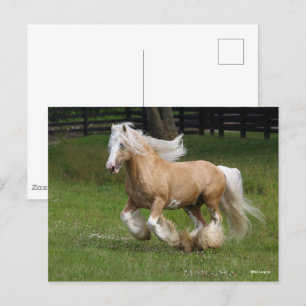 Carte Postale Bob Langrish Palomino Gypsy Vanner Cheval Courir