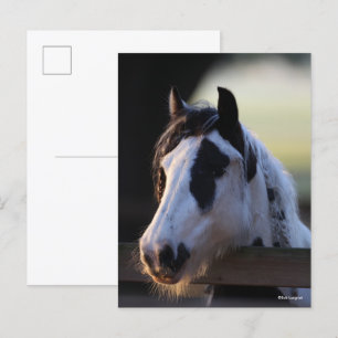 Carte Postale Bob Langrish   Vannière tzigane surplombant la clô