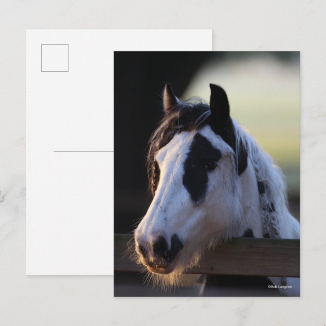 Carte Postale Bob Langrish | Vannière tzigane surplombant la clô (Devant / Derrière)