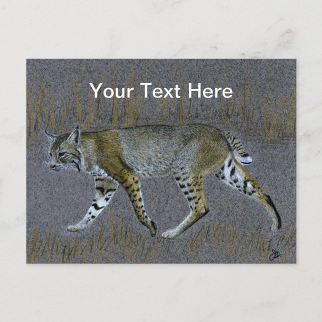 Carte Postale Bobcat (Devant)