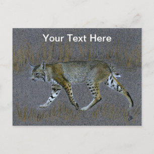 Carte Postale Bobcat