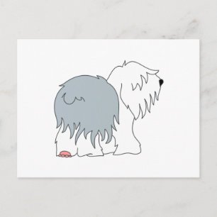 Carte Postale Bobtail Sheepdog