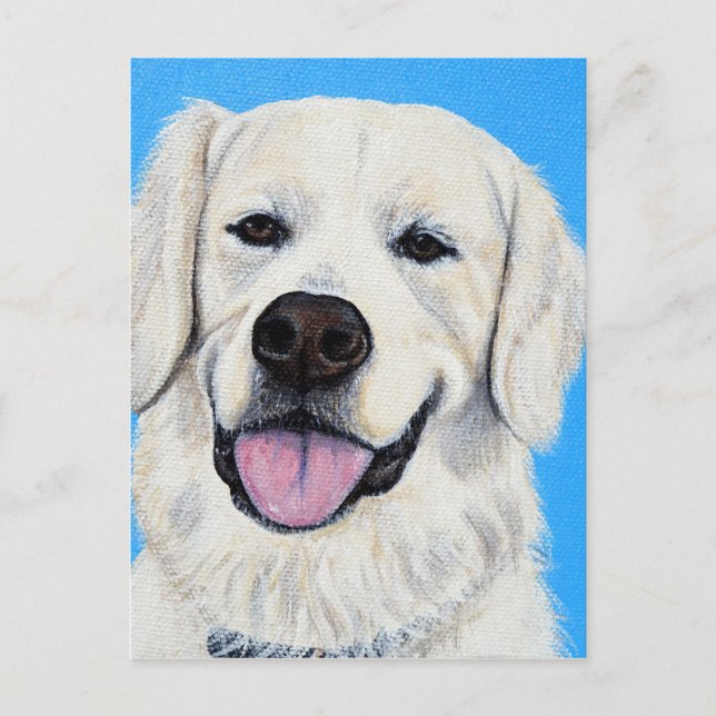 Carte Postale Bodie - Golden Retriever (Devant)