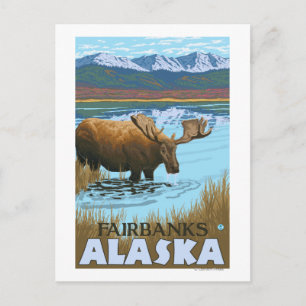 Carte Postale Boire de l'orignal au lac - Fairbanks, Alaska