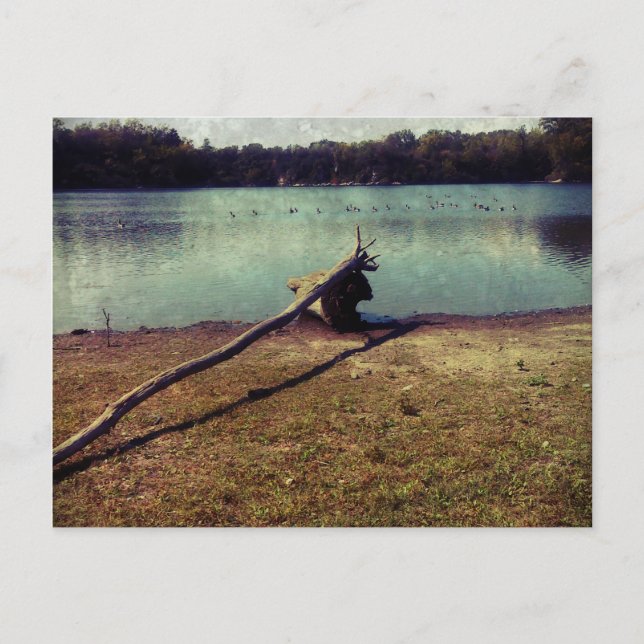 Carte Postale Bois (Devant)