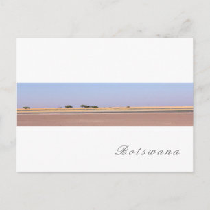 Carte Postale Bois à sel du Botswana Savannah Paysage en herbe
