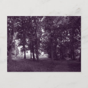 Carte Postale Bois, Bute Park Cardiff - Violet tonique