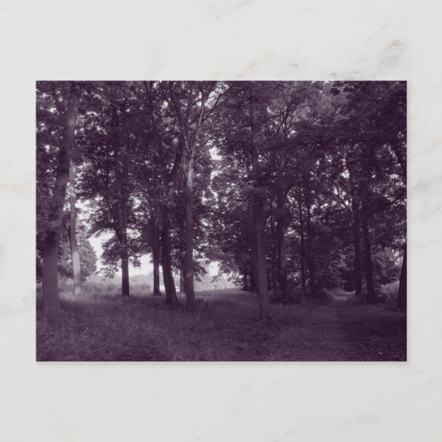 Carte Postale Bois, Bute Park Cardiff - Violet tonique (Devant)