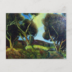 CARTE POSTALE BOIS DE PINÈDE EN TOSCANE