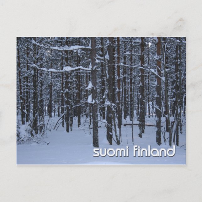 Carte Postale Bois d'hiver de Suomi Finlande (Devant)