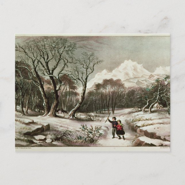 Carte Postale Bois en hiver (Devant)