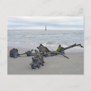Carte Postale Bois flotté, phare de l'île Morris Caroline du Sud