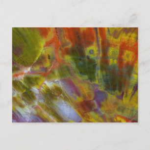 Carte Postale Bois pétrifié arc-en-ciel