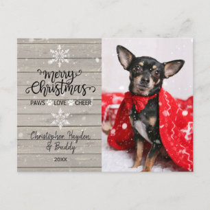 Carte Postale Bois rustique et flocons de neige Photo Chien de N