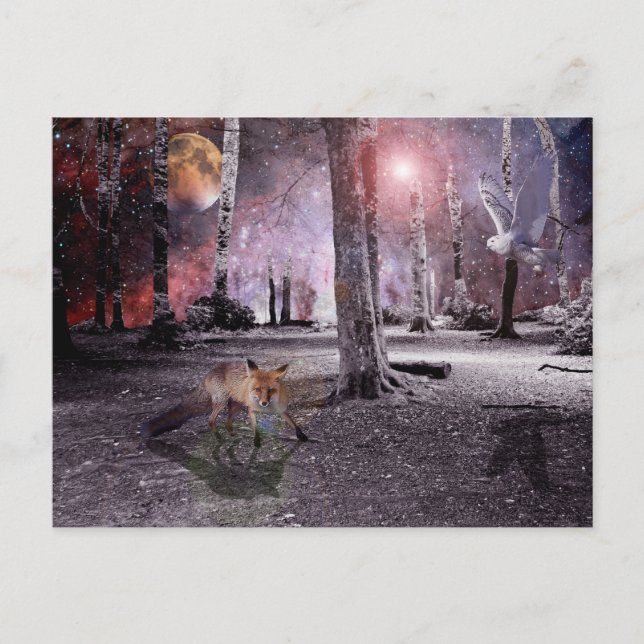 Carte Postale Bois silencieux (Devant)