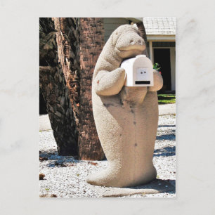 Carte Postale Boîte aux lettres Manatee en Floride Photo