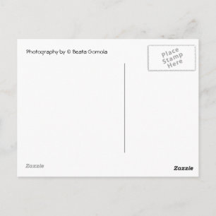 Carte Postale Boîtes aux lettres