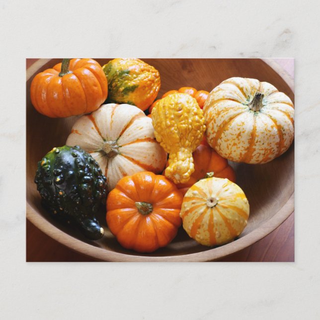 Carte Postale Bol à courge (Devant)