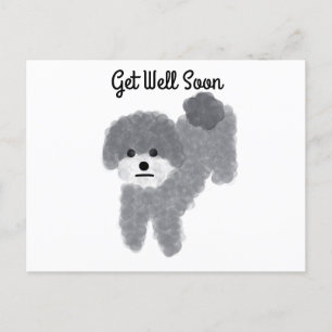 Carte postale : Bon rétablissement, Poodle gris #2