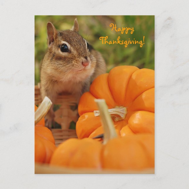 Carte postale bon thanksgiving Little Chipmunk (Devant)