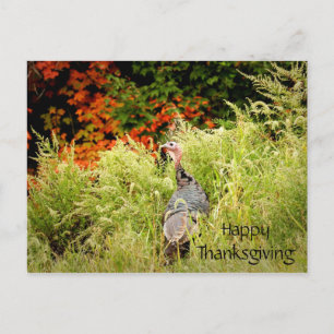 Carte Postale Bon thanksgiving Wild Turkey Fall Leaves