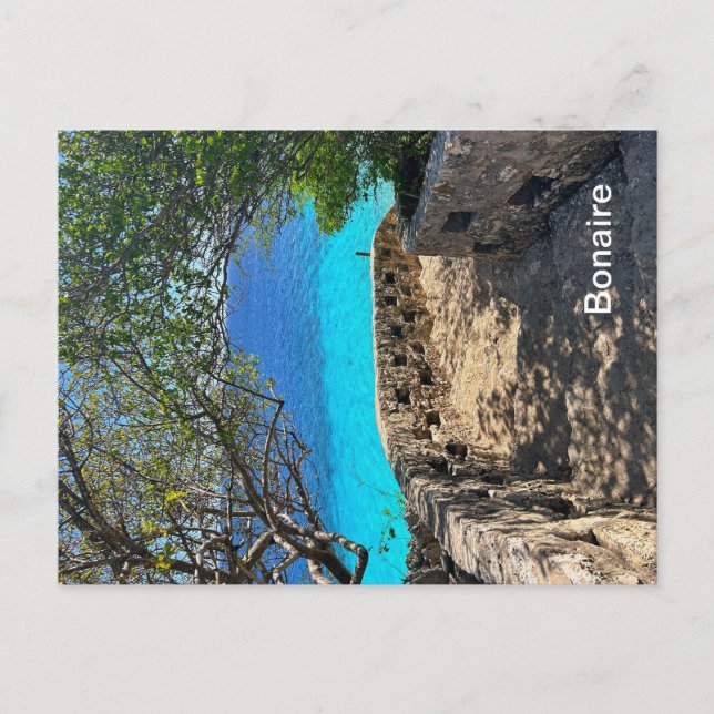 Carte postale Bonaire (Devant)