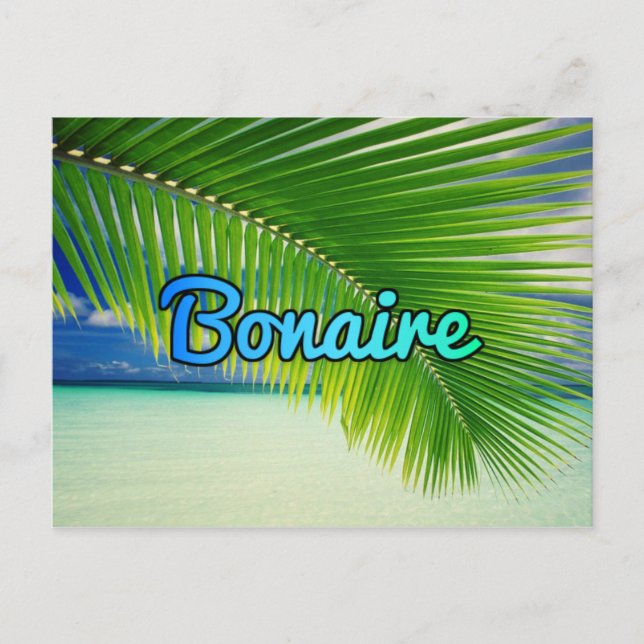 Carte Postale Bonaire (Devant)