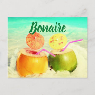Carte Postale Bonaire coconuts