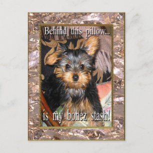 Carte Postale Bone Stash Yorkie