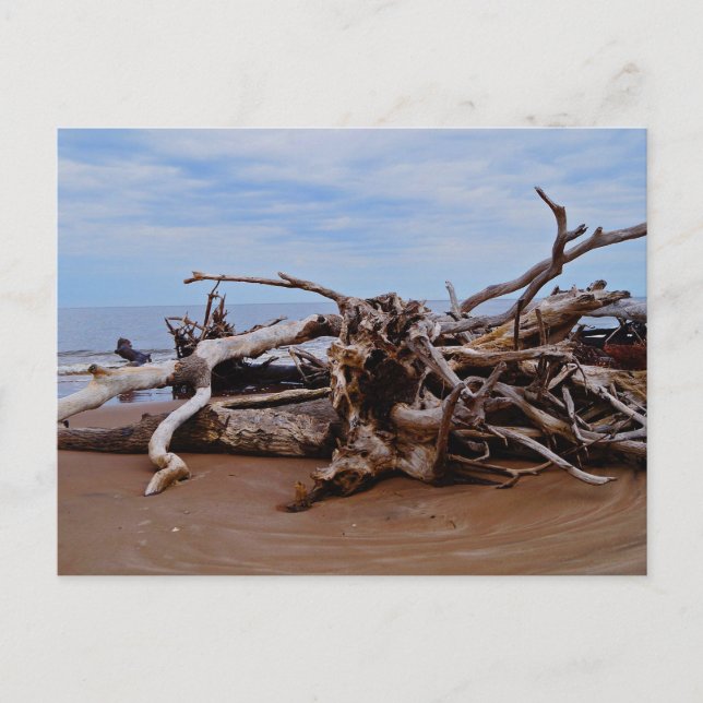 Carte Postale Boneyard Beach (Devant)