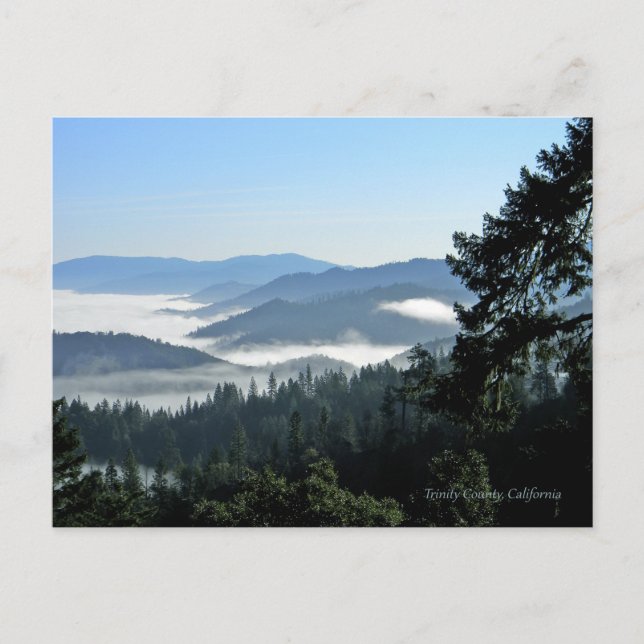 Carte Postale Bonheur du matin printanier... (Devant)