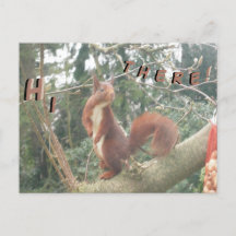 Carte postale BONJOLIE Écureuil mignet