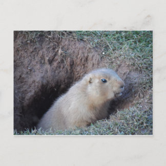 Carte Postale Bonjour