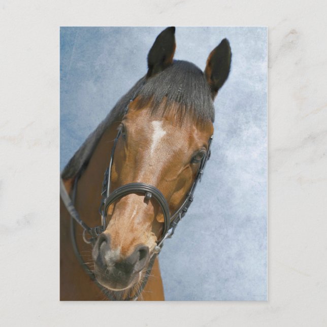 Carte Postale Bonjour, (Devant)