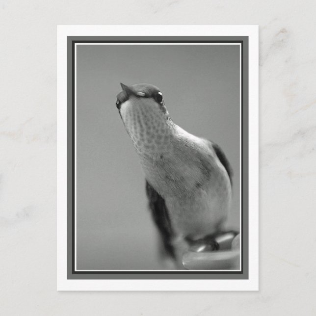 Carte Postale Bonjour (Devant)