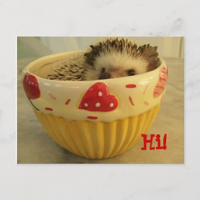 Carte Postale Bonjour ! (Devant)