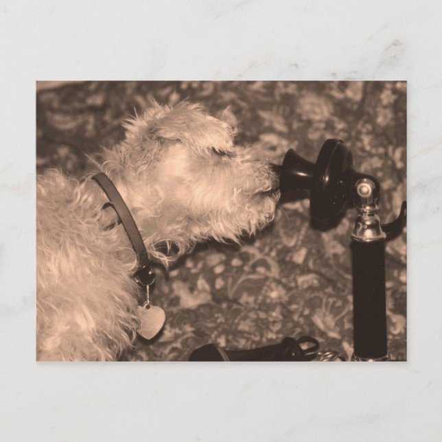 Carte Postale Bonjour (Devant)