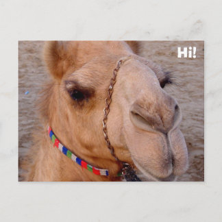 Carte Postale Bonjour !
