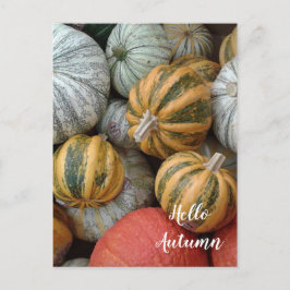 Carte Postale Bonjour Automne - Gourds
