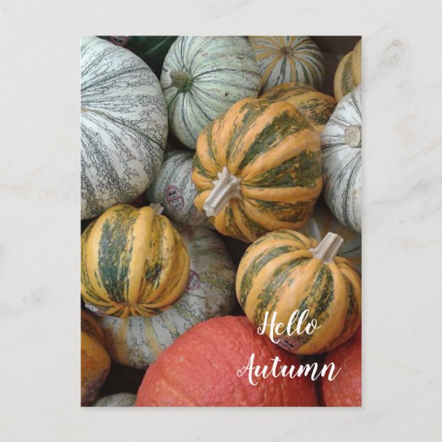 Carte Postale Bonjour Automne - Gourds (Devant)