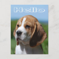 Bonjour Beagle Chien Chien Chien Chien de Voeux Ca